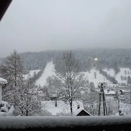 Willa Z Widokiem Na Beskidy 什切尔克